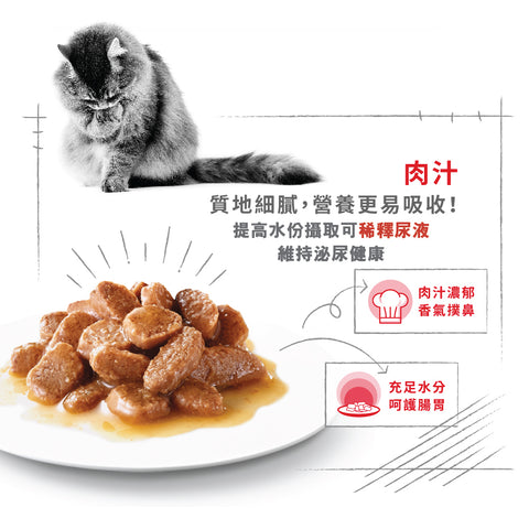 Royal Canin 法國皇家貓濕糧 - 成貓亮毛及皮膚健康加護主食濕糧（肉汁） Hair & Skin Care (Gravy) 85g