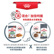 Royal Canin 法國皇家貓乾糧 - 消化道健康成貓 Digestive Care