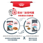 Royal Canin 法國皇家貓濕糧 - 泌尿道健康成貓 (肉汁) Urinary Care (Gravy) 85g