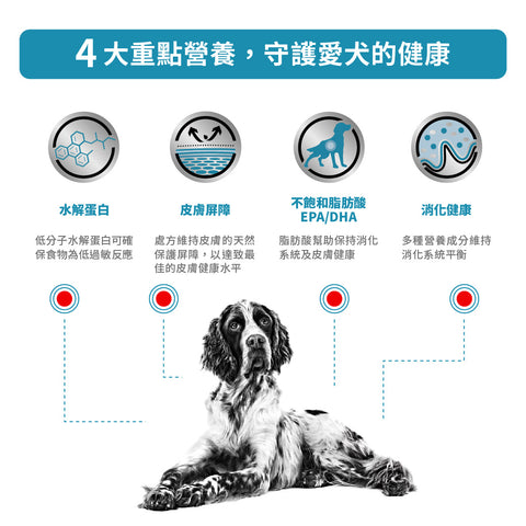 Royal Canin - 成犬低敏感處方糧 / Hypoallergenic For Dogs