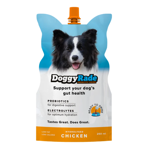Doggyrade 狗狗等滲補水飲料 250ml Isotonic Drink 250ml (雞肉/鴨肉)
