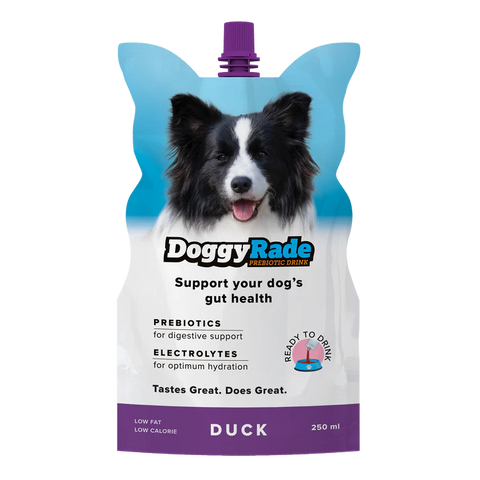 Doggyrade 狗狗等滲補水飲料 250ml Isotonic Drink 250ml (雞肉/鴨肉)