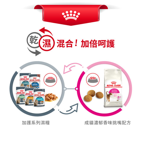 Royal Canin 法國皇家貓乾糧 - 成貓濃郁香味挑嘴配方 Aroma Exigent