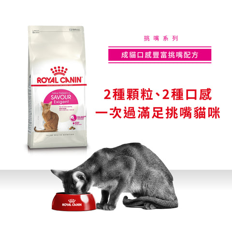 Royal Canin 法國皇家貓乾糧 - 成貓口感豐富挑嘴配方 Savour Exigent