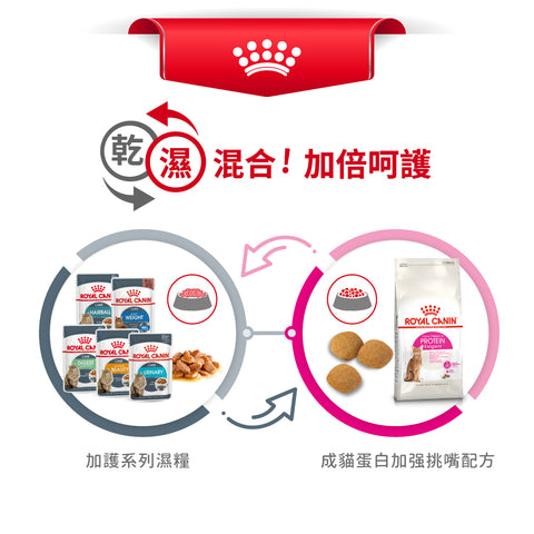 Royal Canin 法國皇家貓乾糧 - 成貓蛋白加強挑嘴配方 Protein Exigent