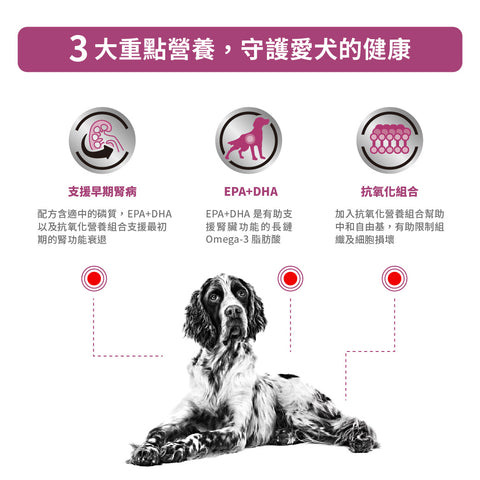 Royal Canin - 成犬早期腎臟處方濕糧 / Canine "Early" Renal Pouch