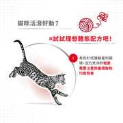 Royal Canin 法國皇家貓乾糧 - 成貓全效健康營養配方 Regular Fit