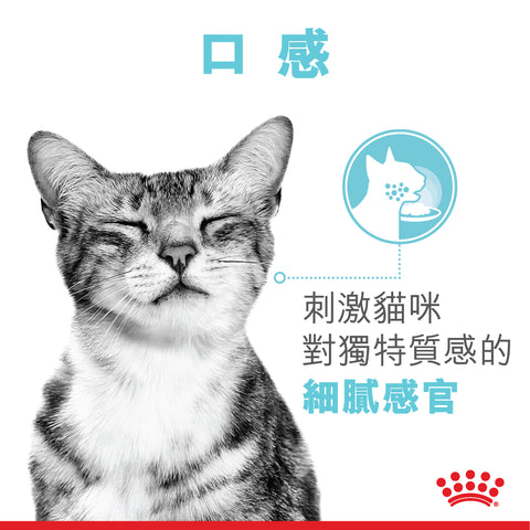 Royal Canin Sensory Feel Morsels in Gravy 貓感系列 濕糧(肉汁) 口感配方 85g