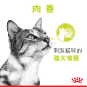 Royal Canin Sensory Smell Morsels in Gravy 貓感濕糧肉香營養主食系列 (肉汁) 85g