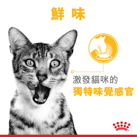 Royal Canin Sensory Taste Morsels in Gravy 貓感系列 濕糧(肉汁) 鮮味配方 85g