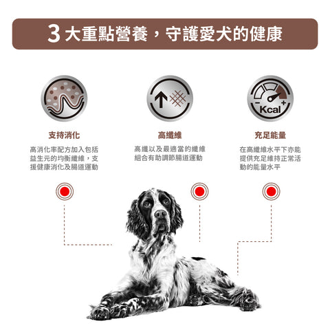 Royal Canin - 成犬腸胃道高纖處方糧2kg / Canine High Fibre 2kg