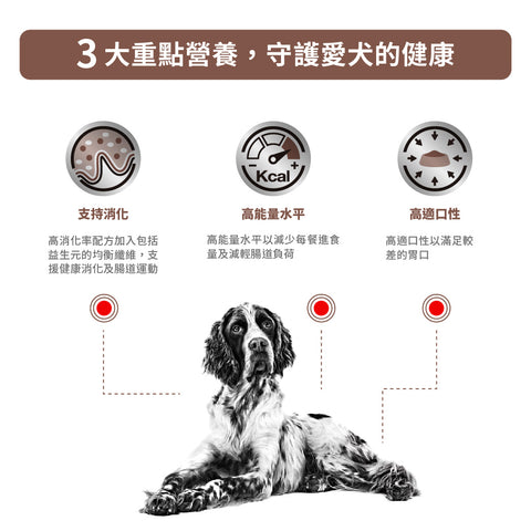 Royal Canin - 成犬腸胃處方糧 / Gastro Intestinal For Dogs