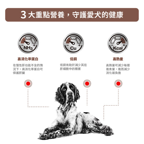 Royal Canin - 成犬肝臟處方糧 / Hepatic For Dogs