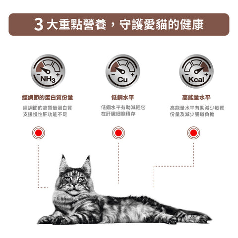 Royal Canin - 成貓肝臟處方糧 2kg / Feline Hepatic 2kg