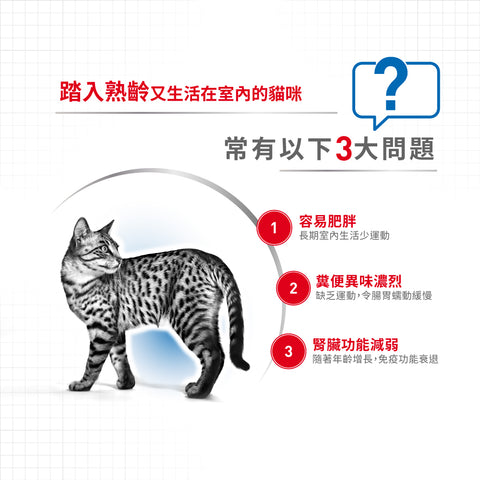 Royal Canin 法國皇家貓乾糧 - 室內成貓 7+配方 Home Life Indoor 7+