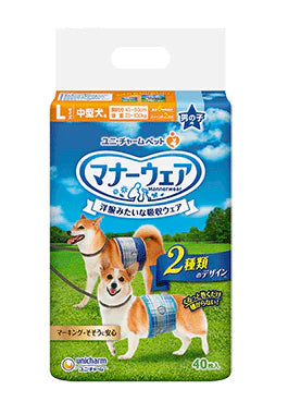 Unicharm Japanese Deodorant Master – Fresh Garden Fragrance Deodorant Beads