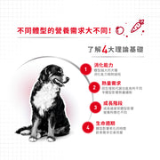 Royal Canin 法國皇家狗乾糧 - 中型成犬營養配方 Medium Adult