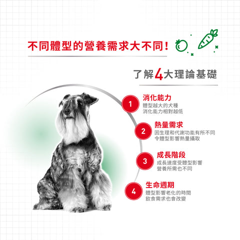 Royal Canin 法國皇家老狗乾糧 - 小型成犬8+營養配方 Mini Adult 8+