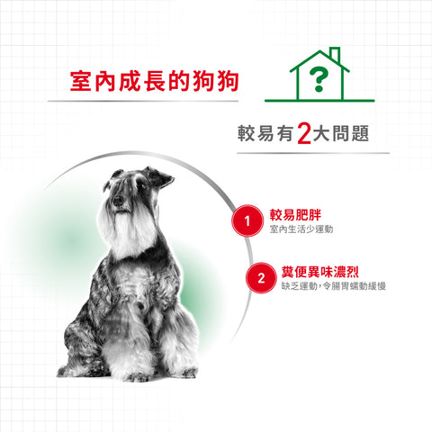 Royal Canin 法國皇家狗乾糧 - 室內小型成犬營養配方 Mini Indoor Adult