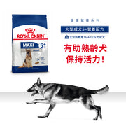 Royal Canin 法國皇家狗乾糧 - 大型成犬5+營養配方 Maxi Adult 5+ 15kg