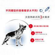 Royal Canin 法國皇家狗乾糧 - 大型成犬5+營養配方 Maxi Adult 5+ 15kg