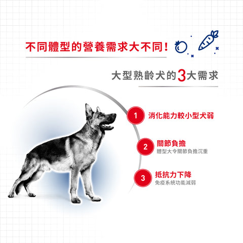 Royal Canin 法國皇家狗乾糧 - 大型成犬5+營養配方 Maxi Adult 5+ 15kg