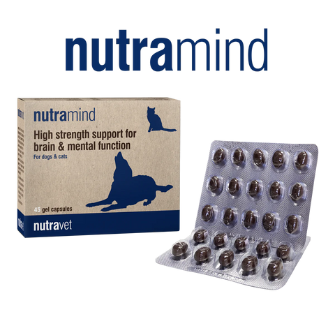 NUTRAVET Nutramind (Brain Health Supplement for Dogs & Cats) 45 caps