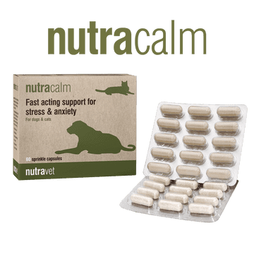 Nutravet - Nutracalm情緒/行為護理補充膠囊 (貓狗適用) 每盒15粒膠囊