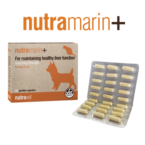 Nutravet Nutramarin+ (SAMe 100mg) (貓狗合用) 維護肝臟健康 營養膠囊 每盒60粒膠囊