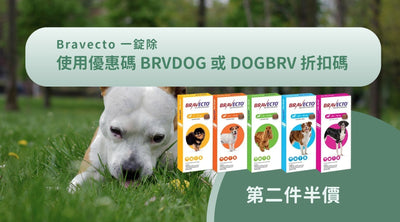 【第二件半價】Bravecto第二件半價｜優惠碼 BRVDOG