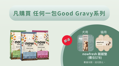 買即送舐舐墊