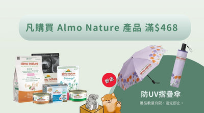 滿$468 送防 UV 摺疊傘