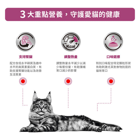 Royal Canin - 成貓腎臟嗜口性處方糧 / Cats Feline Renal "Special"