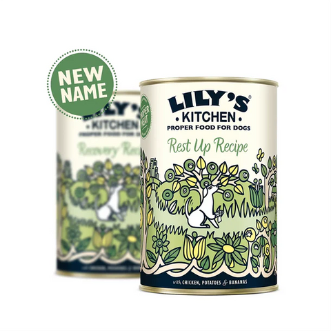 LILY'S KITCHEN Natural Dog Food Can - Gastrointestinal Tonic 400g