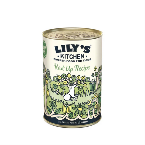 LILY'S KITCHEN Natural Dog Food Can - Gastrointestinal Tonic 400g