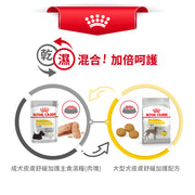 Royal Canin 法國皇家狗乾糧 - 大型犬皮膚舒緩加護配方 Maxi Dermacomfort 12kg