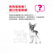 Royal Canin 法國皇家狗濕糧 - 成犬挑嘴加護主食濕糧 (肉塊) Exigent (Loaf) 85g