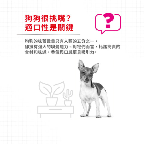 Royal Canin 法國皇家狗濕糧 - 成犬挑嘴加護主食濕糧 (肉塊) Exigent (Loaf) 85g