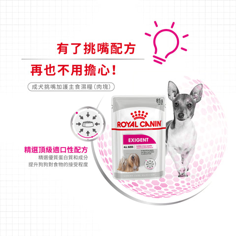 Royal Canin 法國皇家狗濕糧 - 成犬挑嘴加護主食濕糧 (肉塊) Exigent (Loaf) 85g