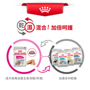 Royal Canin 法國皇家狗濕糧 - 成犬挑嘴加護主食濕糧 (肉塊) Exigent (Loaf) 85g