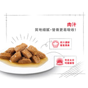 Royal Canin 法國皇家狗濕糧 - 中型老犬10+(肉汁) Medium Ageing 10+ (Gravy) 140g