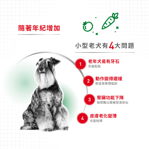 Royal Canin 法國皇家老狗乾糧 - 小型老犬12+營養配方 Mini Ageing 12+ 1.5kg