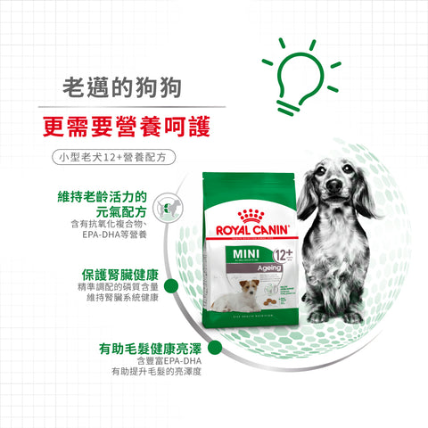 Royal Canin 法國皇家老狗乾糧 - 小型老犬12+營養配方 Mini Ageing 12+ 1.5kg