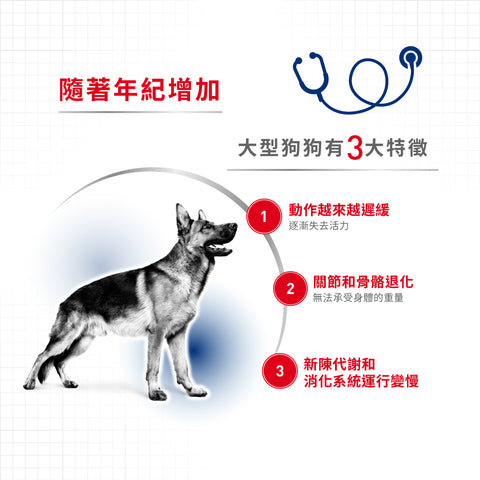 Royal Canin 法國皇家狗濕糧 - 大型8歲以上老犬(肉汁) Maxi Ageing 8+ (Gravy) 140g