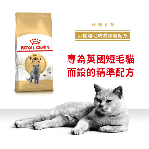 Royal Canin 法國皇家貓乾糧 - 英國短毛成貓 British Shorthair Adult