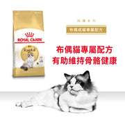 Royal Canin 法國皇家貓乾糧 - 布偶成貓 Ragdoll Adult