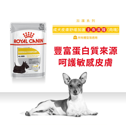 Royal Canin 法國皇家狗濕糧 - 成犬皮膚舒緩加護主食濕糧 (肉塊) DERMACOMFORT (LOAF) 85g