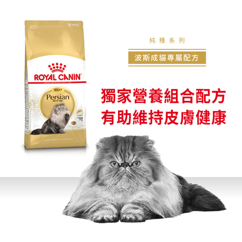 Royal Canin 法國皇家貓乾糧 - 波斯成貓 Persian Adult