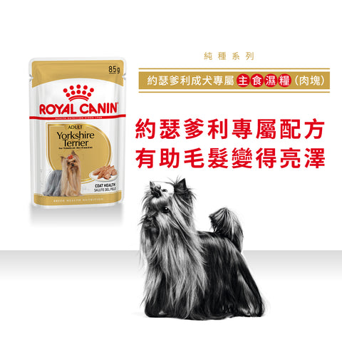 Royal Canin 法國皇家貓濕糧 - 約瑟爹利成犬專屬配方 (肉塊) Yorkshire Terrier Adult (Loaf) 85g