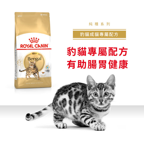 Royal Canin 法國皇家貓乾糧 - 孟加拉豹貓成貓 Bengal Adult